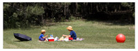 A picnic for two.