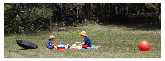 A picnic for two.
