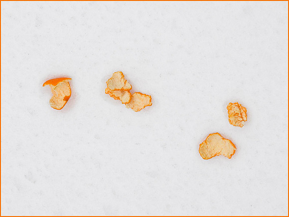 OLYMPUS DIGITAL CAMERAorange peel on the snow.