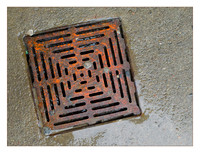 OLYMPUS DIGITAL CAMERAanother grate composition