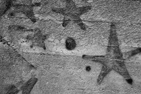 Stone_The Goldie Mill