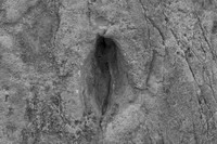 Orificium