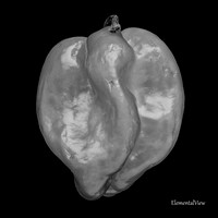 Peppers_B&W