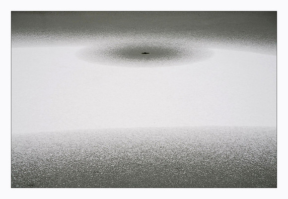 fresh snow on the pond.